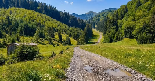 Teren Poiana Brașov