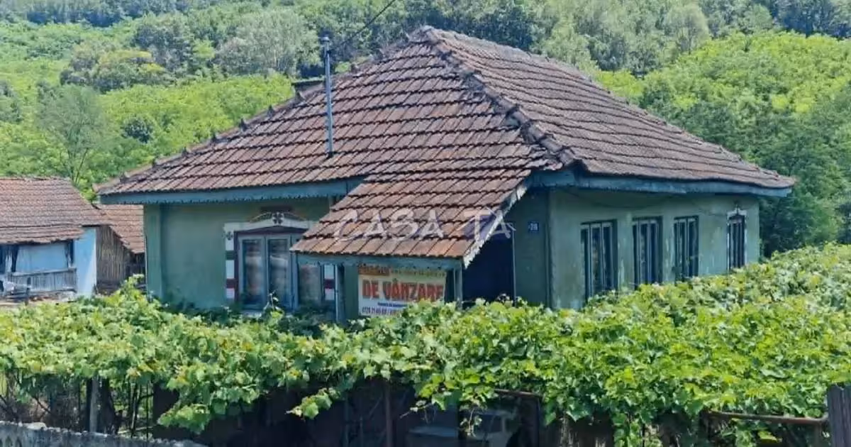 Casă individuală de vânzare cu 3 camere în Târgu Cărbunești