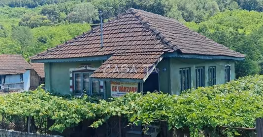Casă Central