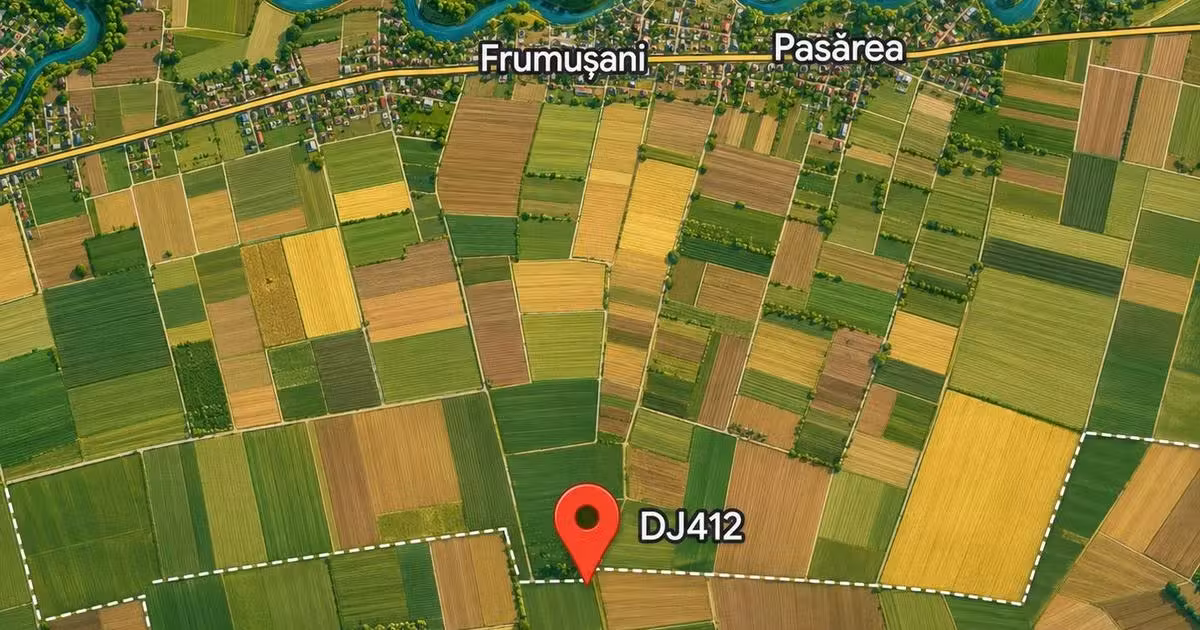 Teren agricol extravilan de vânzare de 965856 mp, în Vărăști