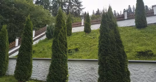 Apartament Forestier