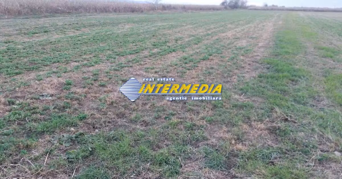 Teren Construcții de vânzare de 5000 mp, în zona Industrială, Alba Iulia