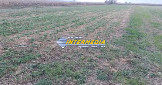 Teren Industrială