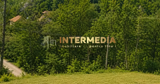 Teren Meteș