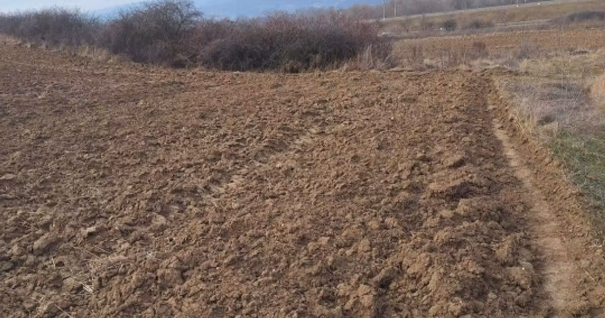 Teren agricol extravilan de vânzare de 15800 mp, în Săliștea