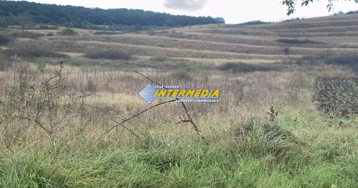 Teren Construcții intravilan de vânzare de 1248 mp, în Teleac
