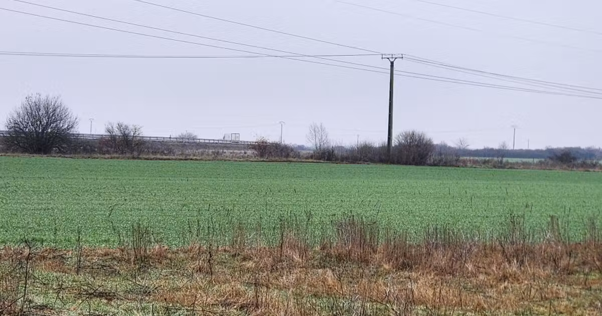 Teren agricol extravilan de vânzare de 14500 mp, în Giroc