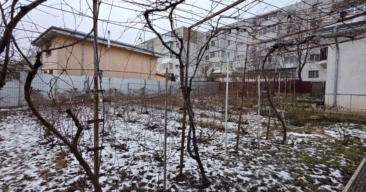 Teren Construcții intravilan de vânzare de 495 mp, în zona Narcisa, Bacău