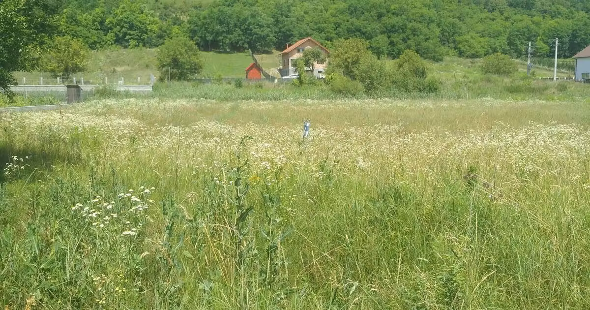 Teren agricol intravilan de vânzare de 900 mp, în Livezeni