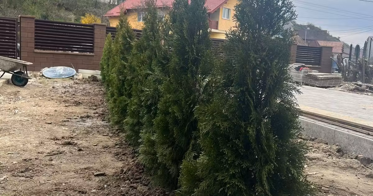 Duplex de vânzare cu 5 camere în Livezeni