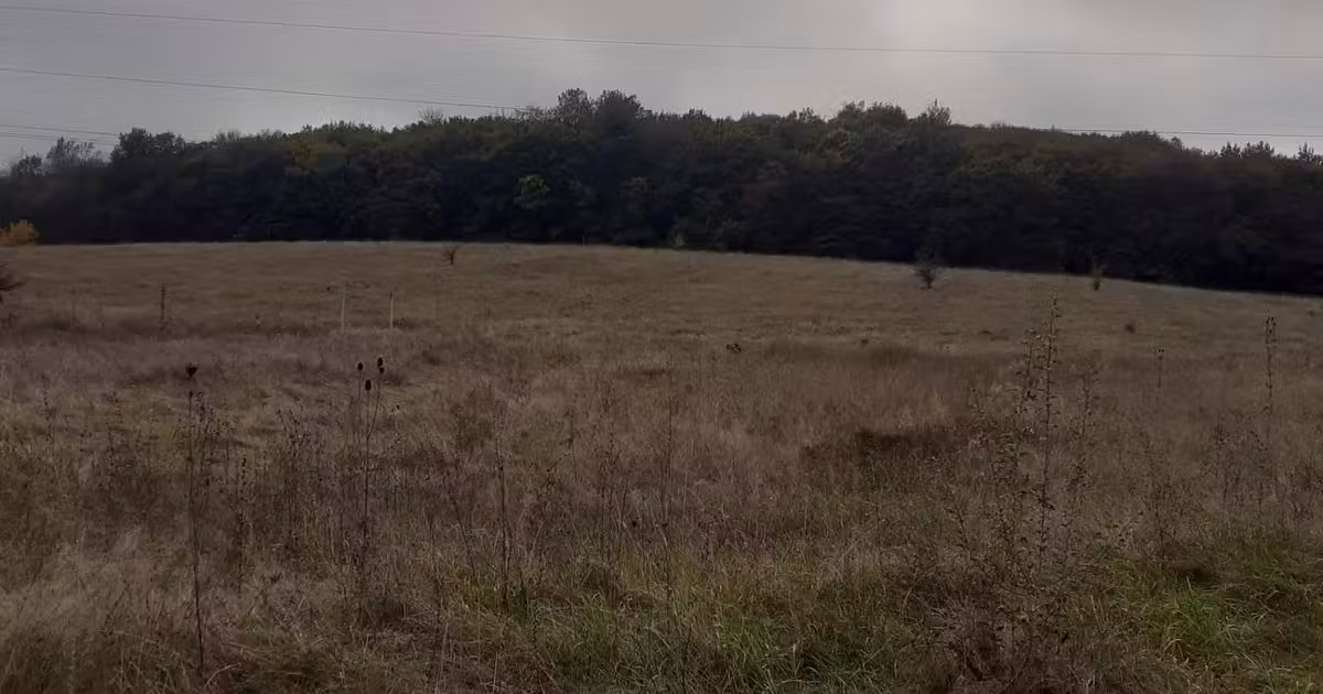 Teren Construcții intravilan de vânzare de 11300 mp, în zona Periferie, Târgu Mureș