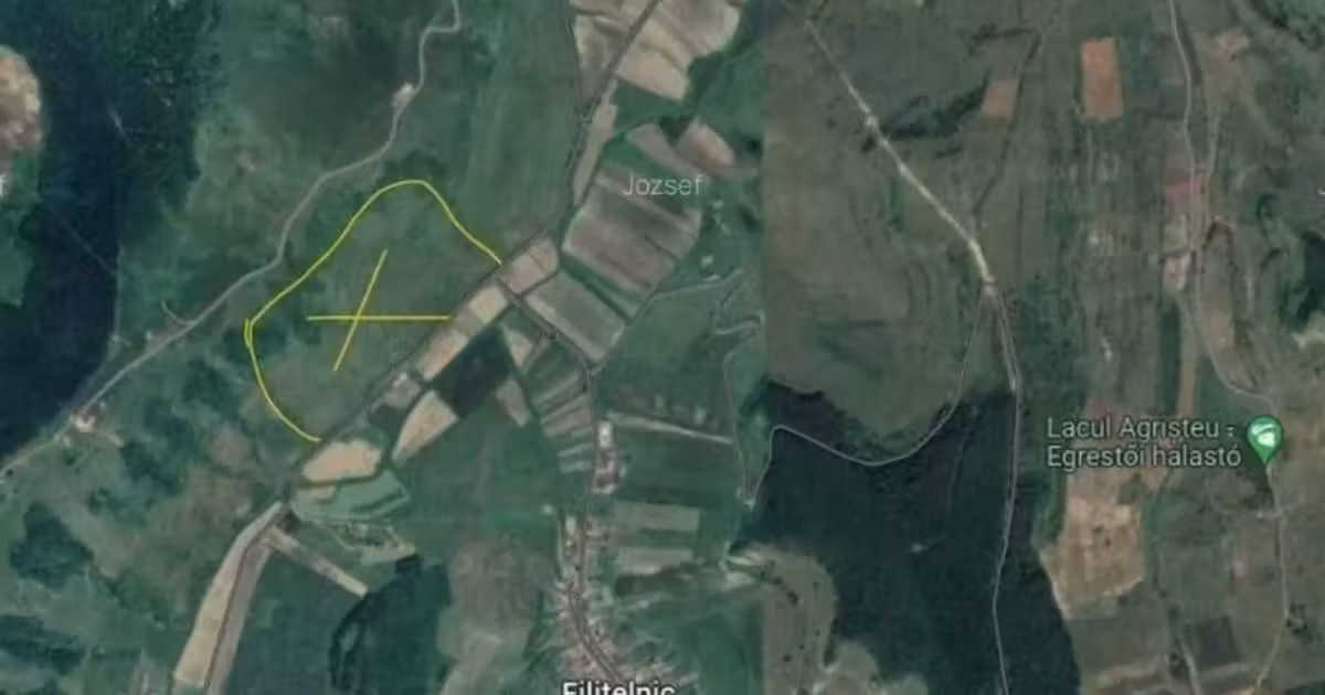 Teren agricol extravilan de vânzare de 60000 mp, în Bălăușeri