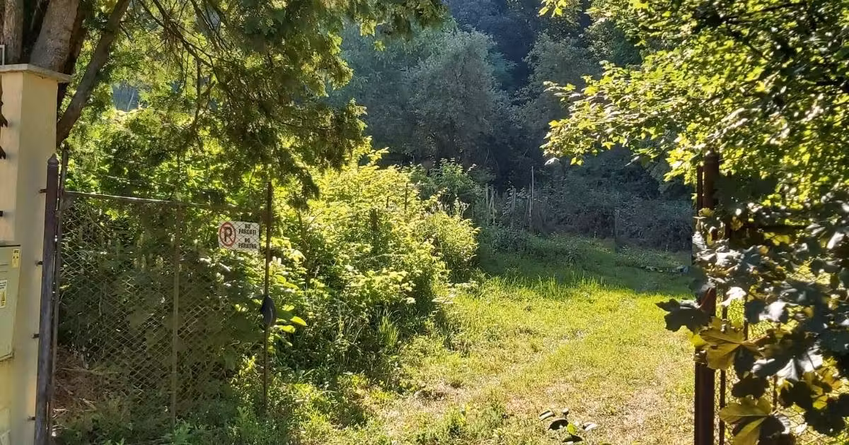 Teren Construcții intravilan de vânzare de 5124 mp, în zona Cornișa, Târgu Mureș