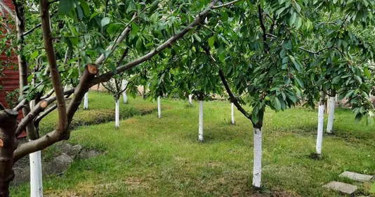 Casă Bogata