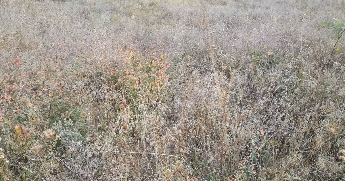 Teren agricol extravilan de vânzare de 5755 mp, în zona Iris, Cluj-Napoca