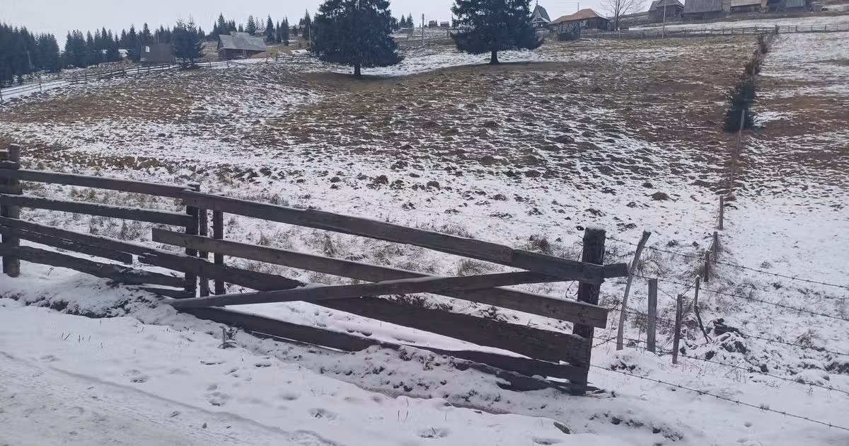 Teren agricol intravilan de vânzare de 10900 mp, în Măguri-Răcătău