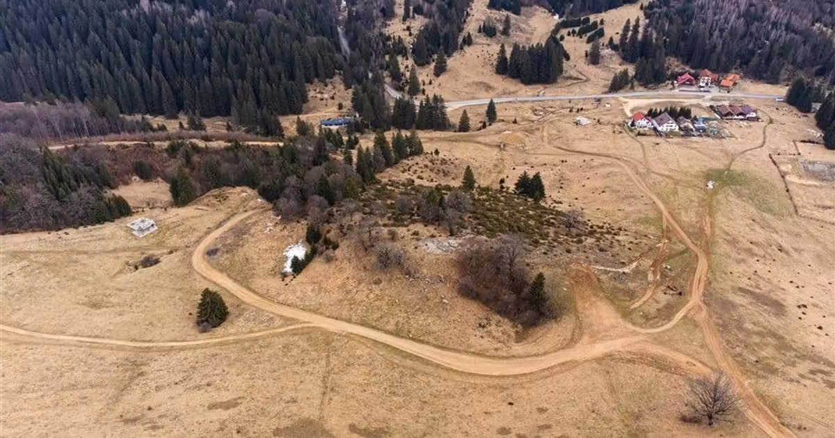 Teren Construcții intravilan de vânzare de 6500 mp, în Poiana Brașov