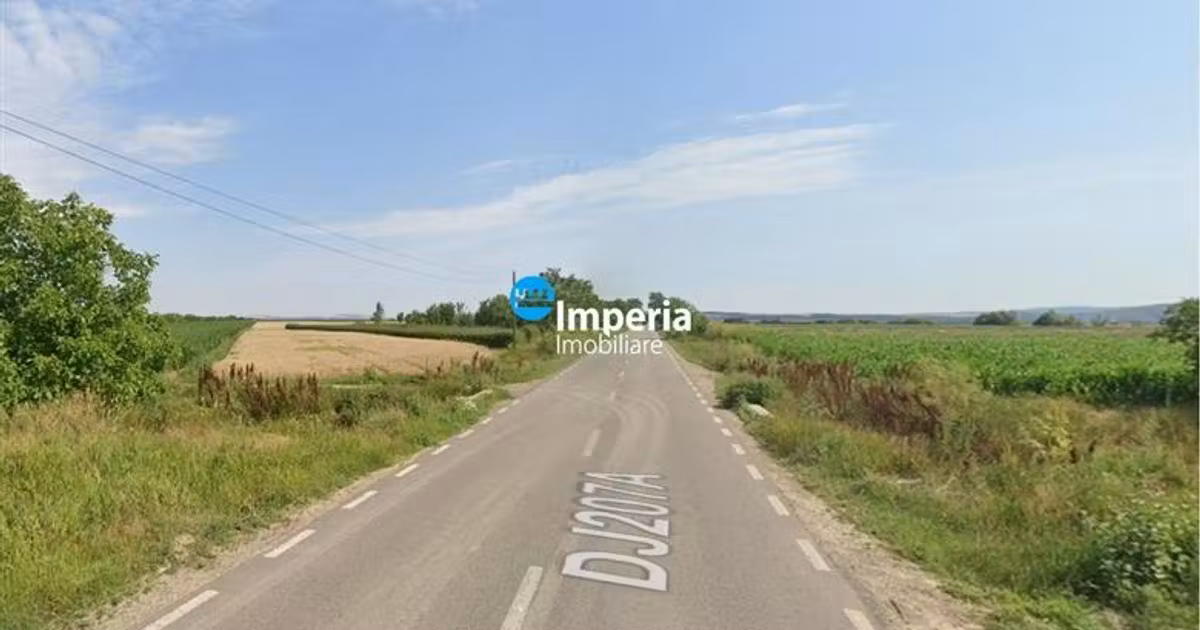Teren agricol intravilan de vânzare de 19800 mp, în Roman