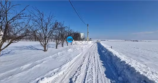 Teren Tătărași
