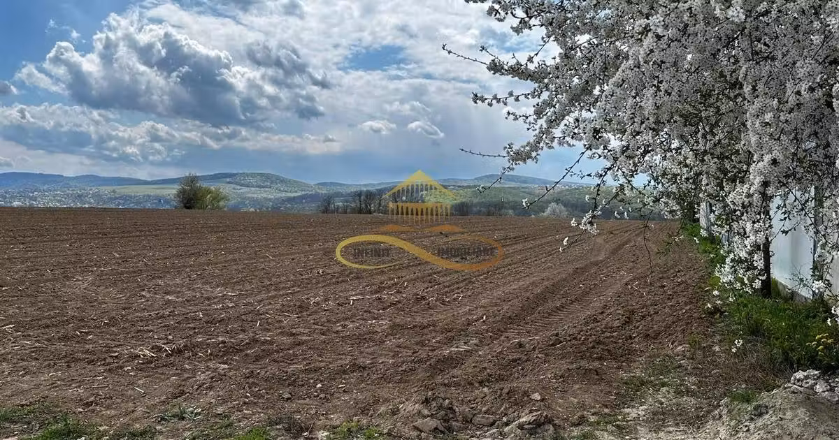 Teren Construcții intravilan de vânzare de 4374 mp, în Trebeș