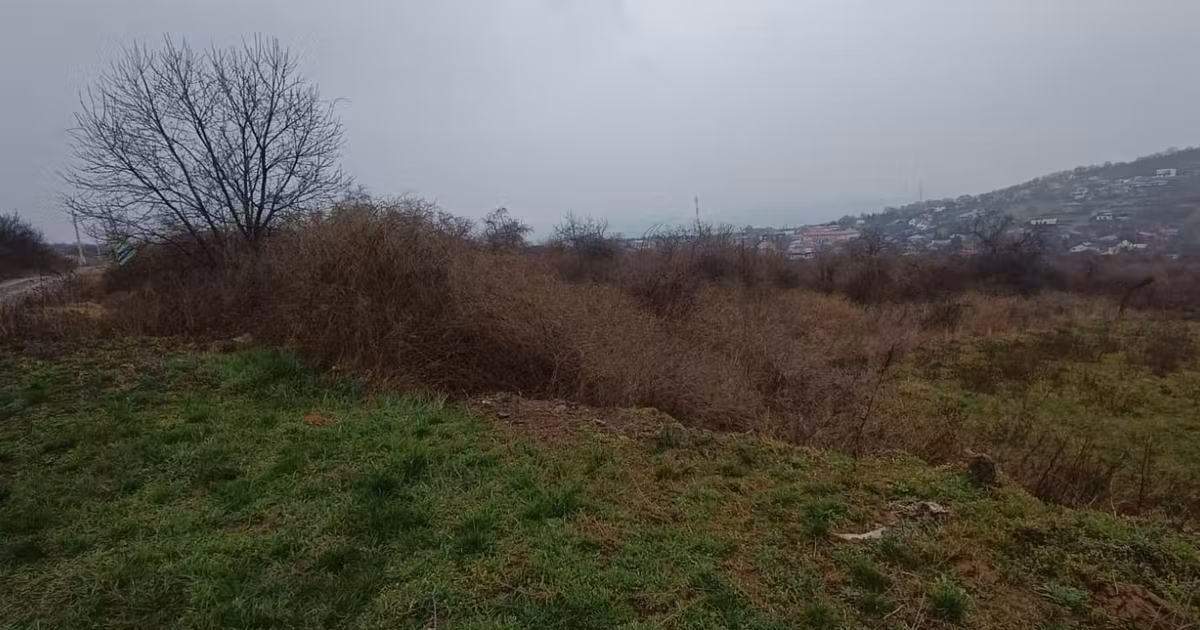 Teren intravilan de vânzare de 11000 mp, în Tomești