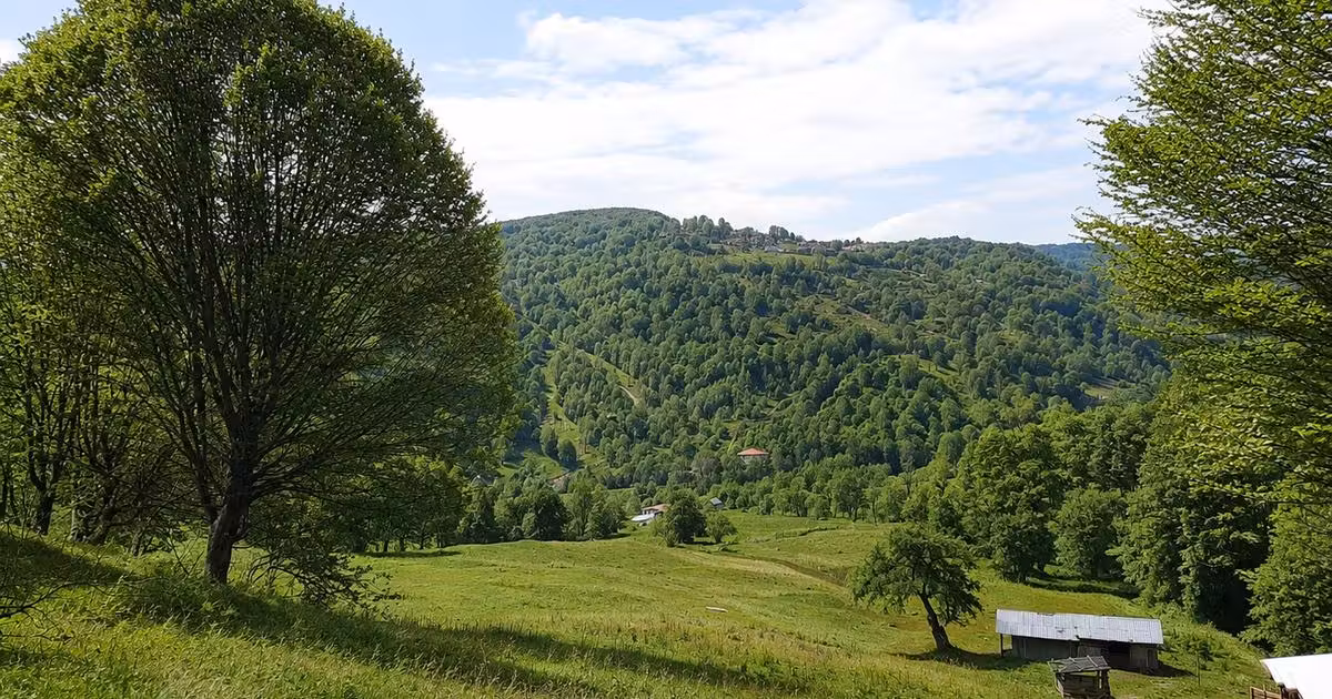 Teren extravilan de vânzare de 2746 mp, în Vădurele (Alexandru cel Bun)