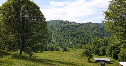 Teren Vădurele (Alexandru cel Bun)