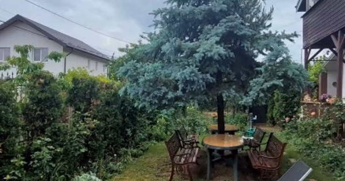 Casă individuală de vânzare cu 4 camere în zona Miroslava, Iași