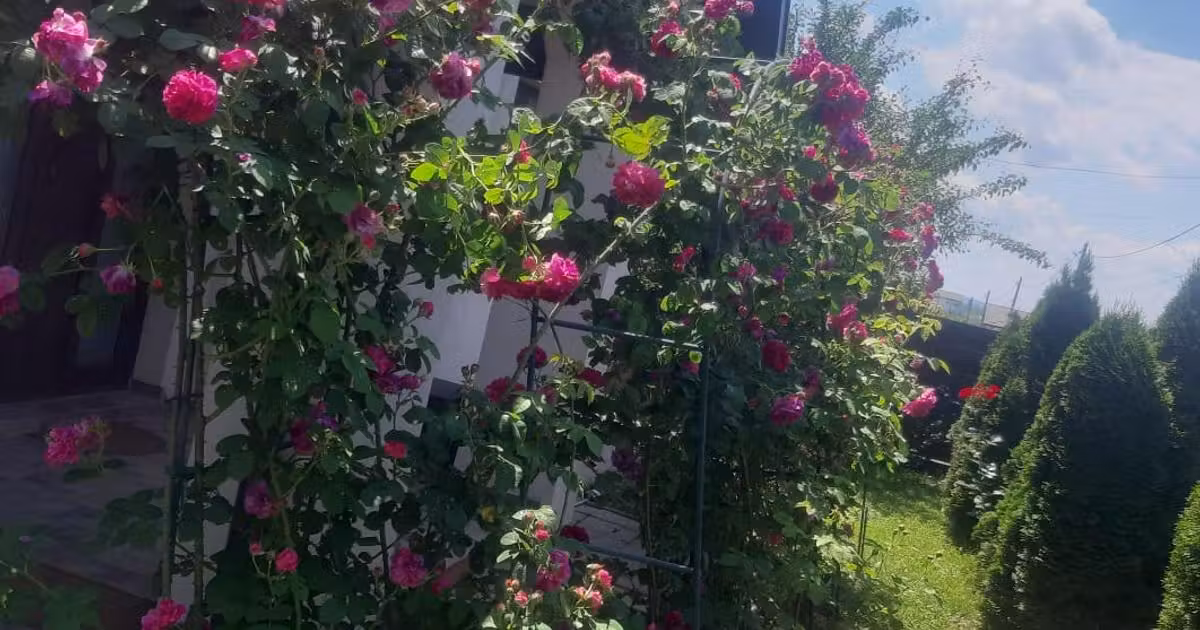 Casă de vânzare cu 4 camere în Breazu