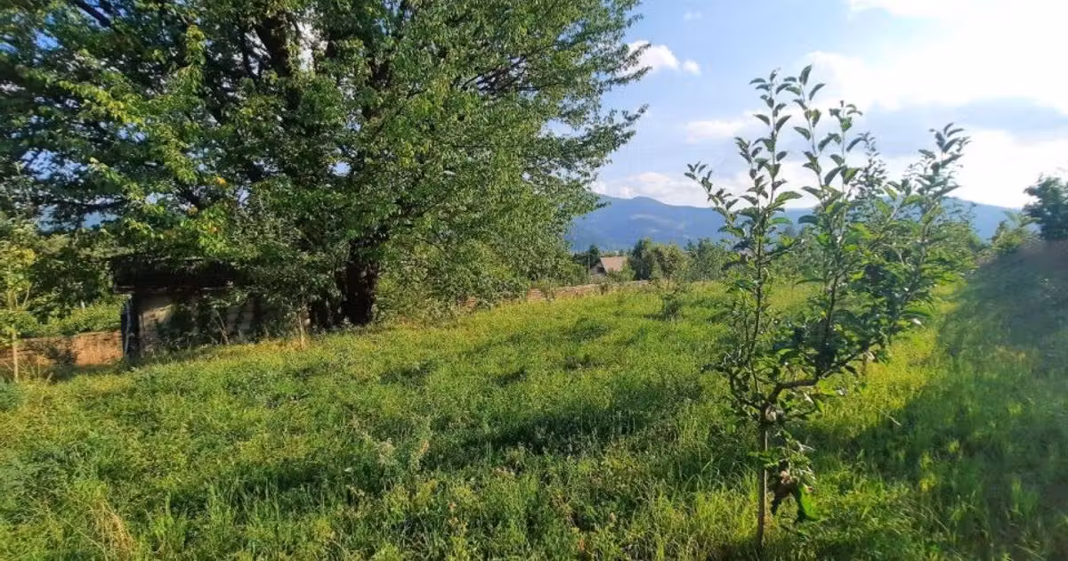 Teren Construcții intravilan de vânzare de 1091 mp, în Alexandru cel Bun