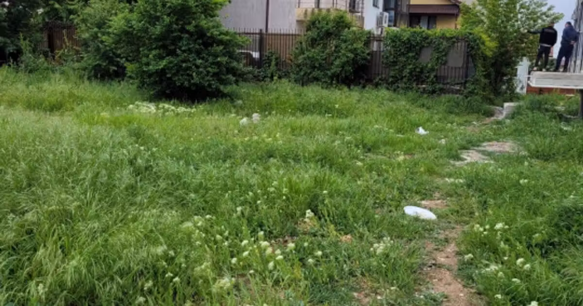 Teren Construcții intravilan de vânzare de 500 mp, în Dobroești
