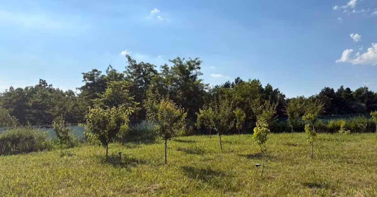 Teren Construcții intravilan de vânzare de 695 mp, în Valea Lupului