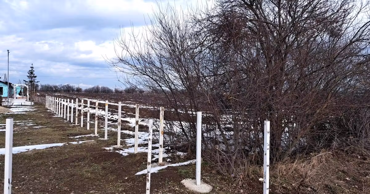 Teren Construcții intravilan de vânzare de 5000.77 mp, în Snagov