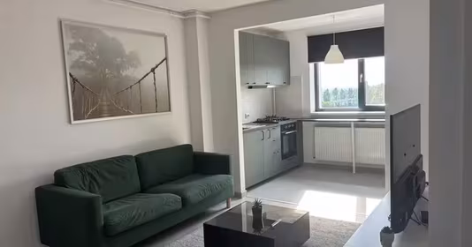 Apartament Theodor Pallady