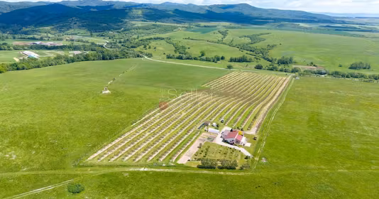 Casă Dumbrăvița