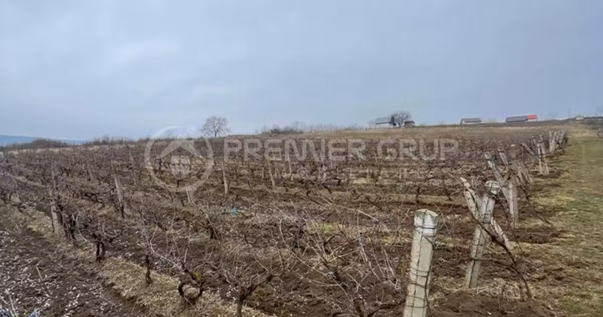 Teren Construcții intravilan de vânzare de 4209 mp, în Tomești