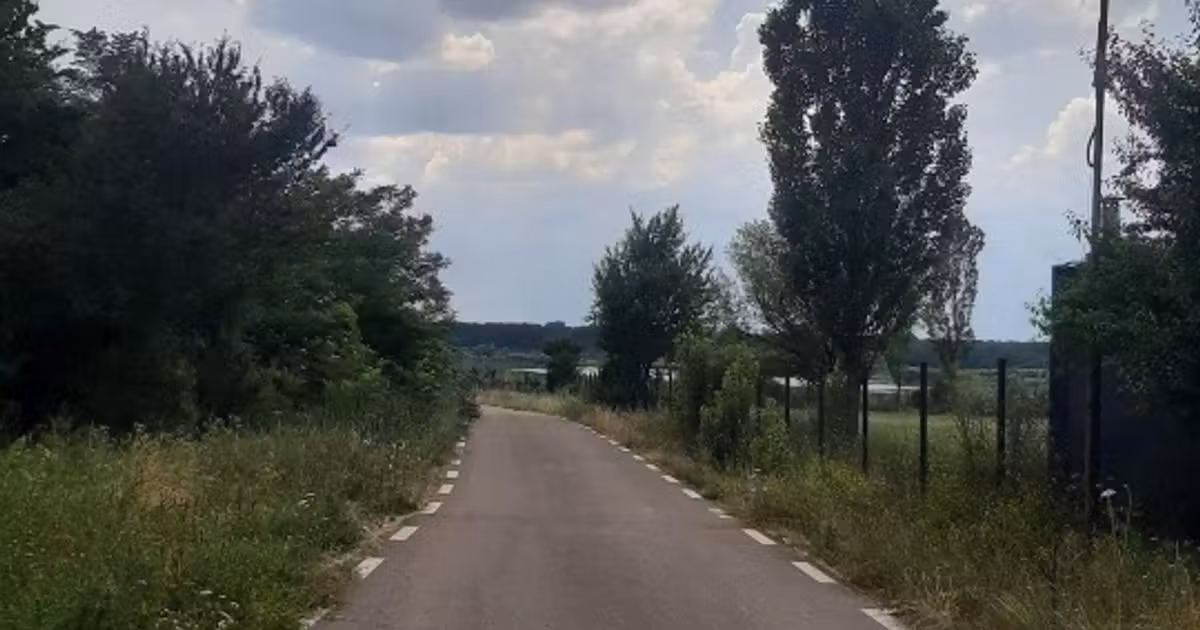 Teren Construcții intravilan de vânzare de 5500 mp, în Ilfoveni