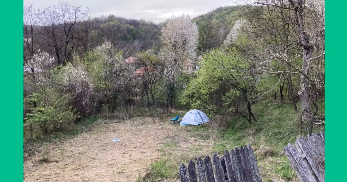 Teren Construcții intravilan de vânzare de 2500 mp, în Prajila