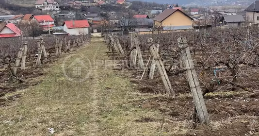 Teren Tătărași
