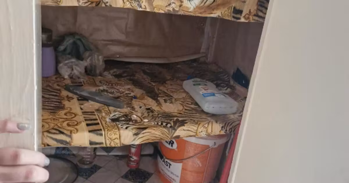 Apartament de vânzare cu 2 camere, mobilat în zona Tractorul, Brașov