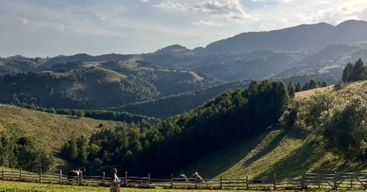 Teren intravilan de vânzare de 110000 mp, în Moieciu