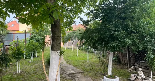 Casă Vasile Aaron