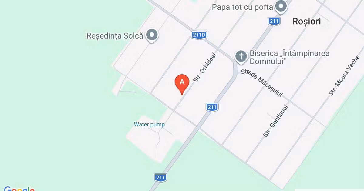 Casă individuală de vânzare cu 4 camere, mobilată în Roșiori