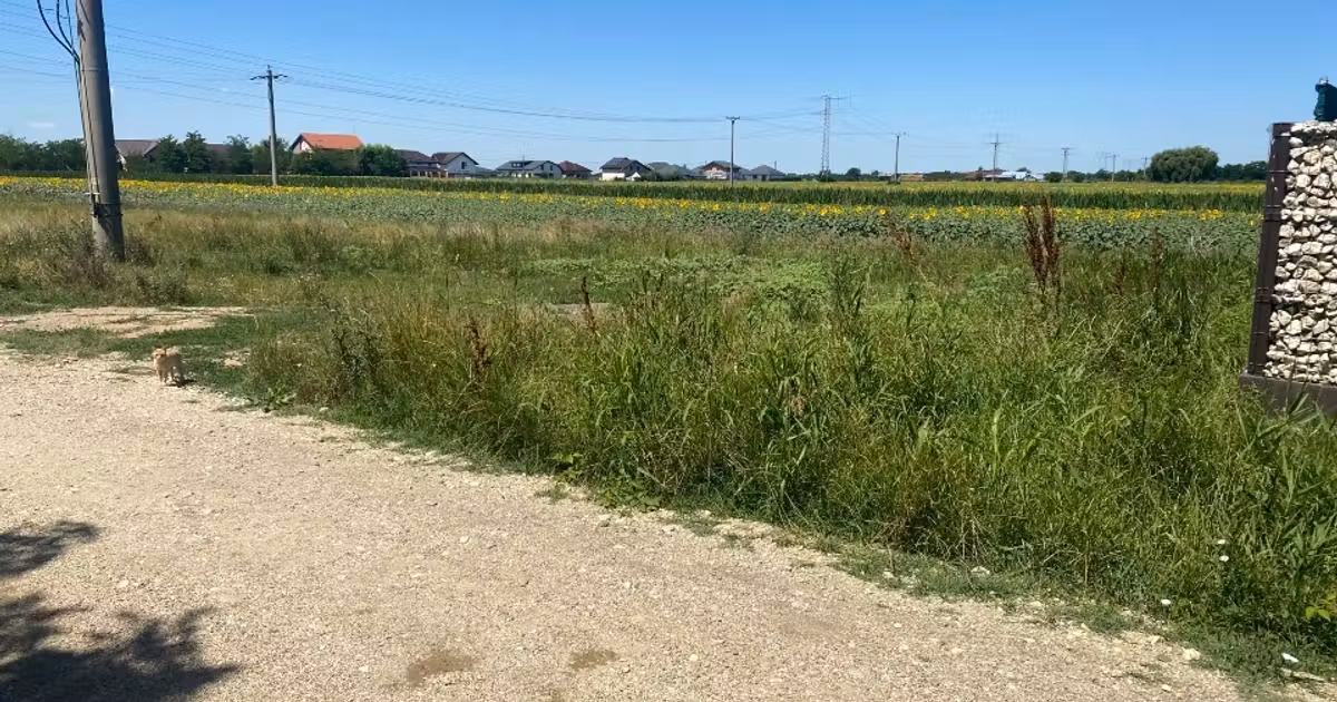 Teren Construcții intravilan de vânzare de 500 mp, în Tărtășești