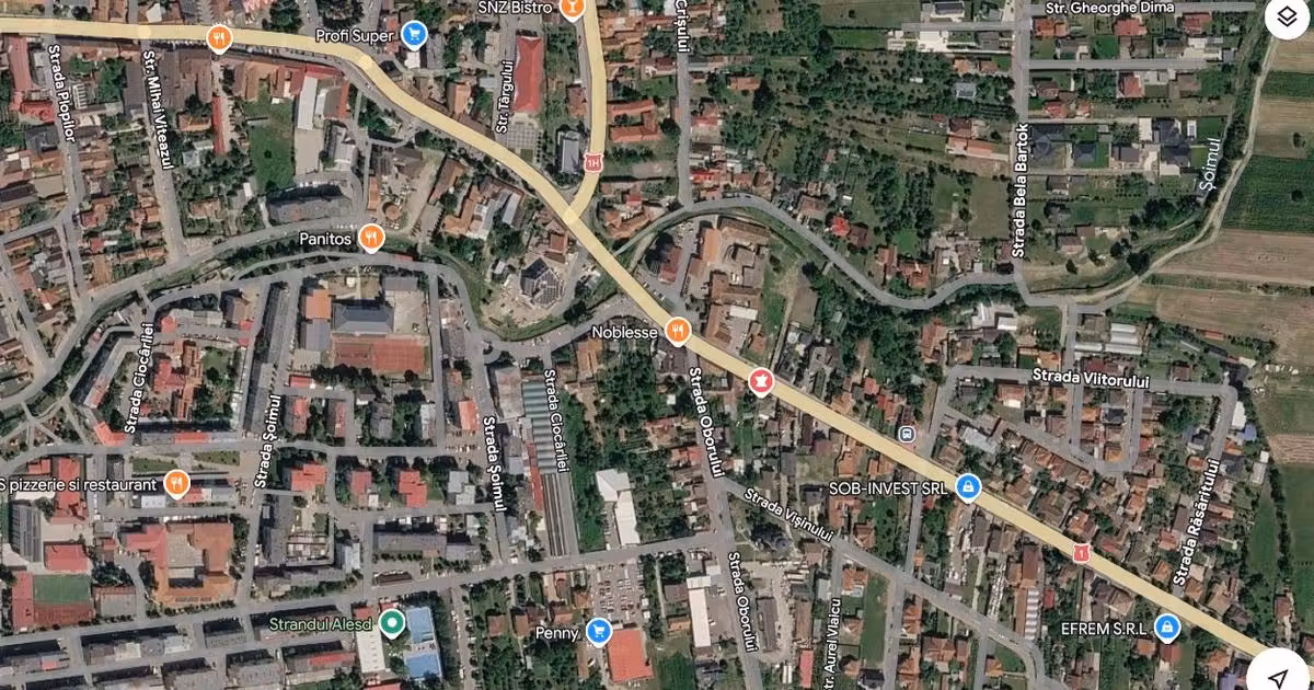 Casă individuală de vânzare cu 5 camere, mobilată în Aleșd