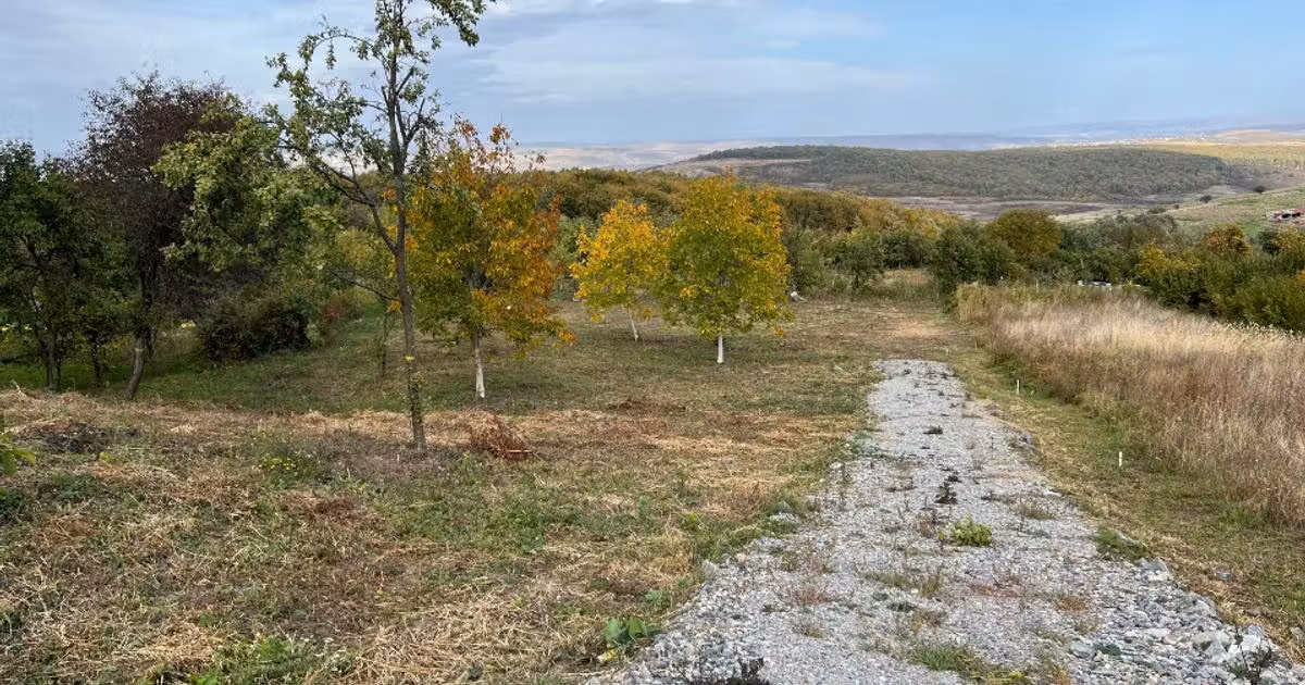 Teren Construcții intravilan de vânzare de 3744 mp, în Gheorghieni