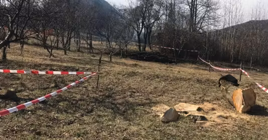 Teren Olănești