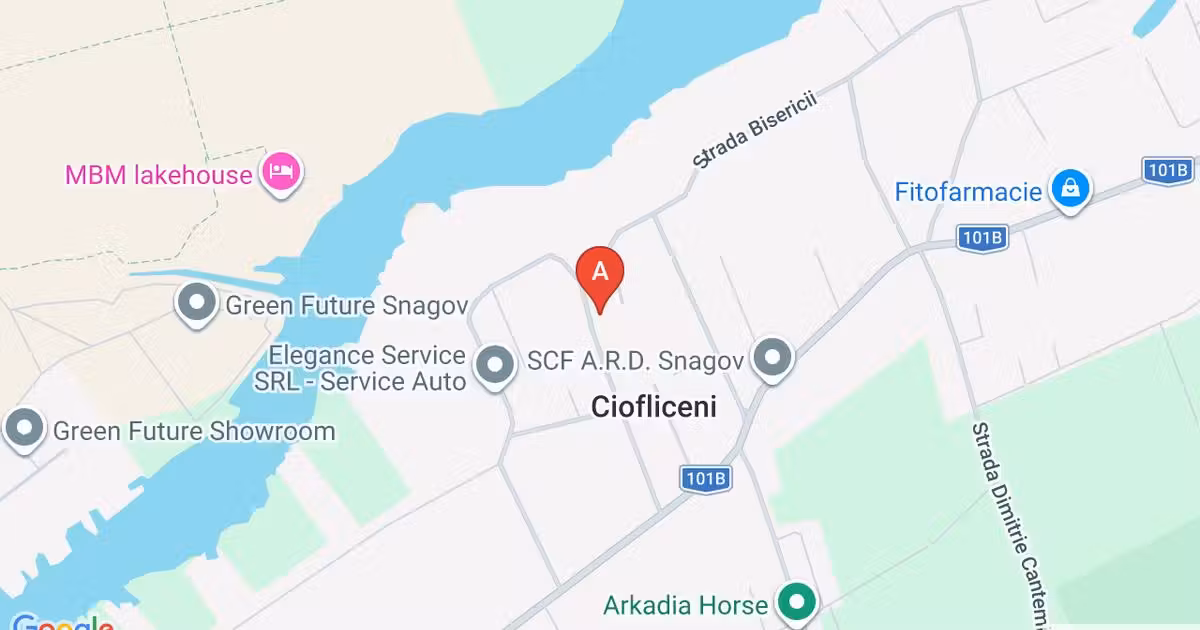 Casă individuală de vânzare cu 5 camere, mobilată în Ciofliceni