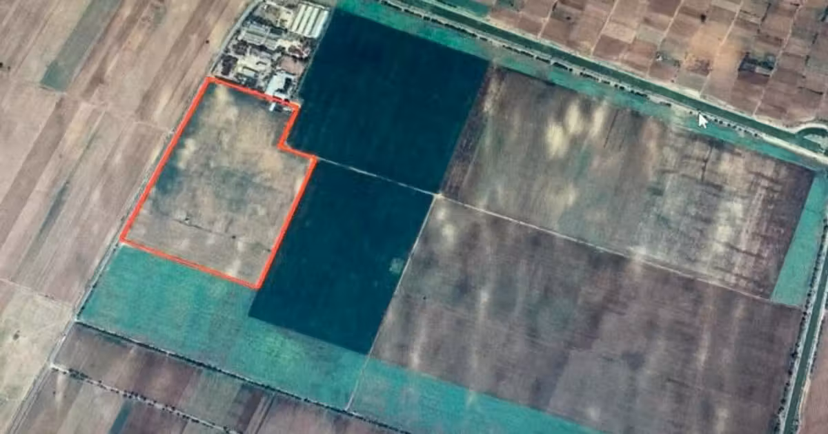 Teren agricol extravilan de vânzare de 150000 mp, în Însurăței