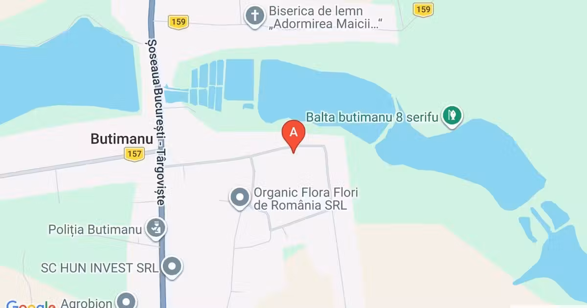 Teren Construcții intravilan de vânzare de 1500 mp, în Butimanu
